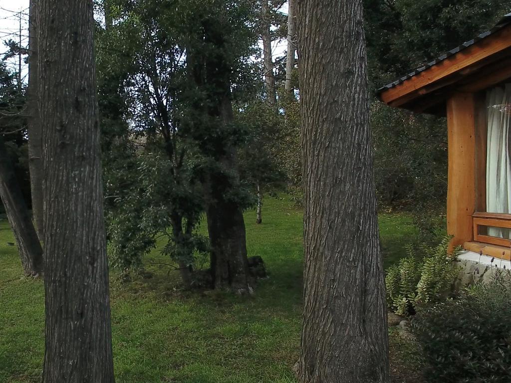 Hotel Htl La Malinka San Carlos de Bariloche Exteriér fotografie
